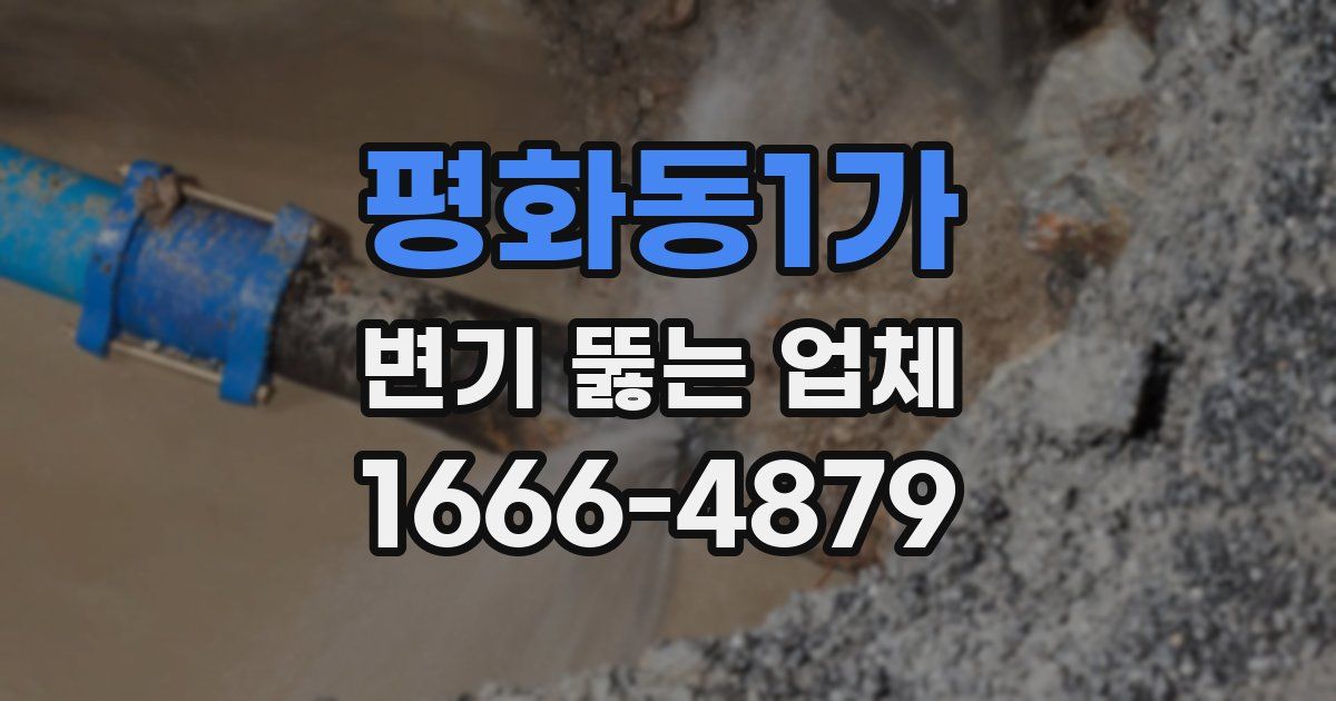 평화동1가 변기 뚫는 업체