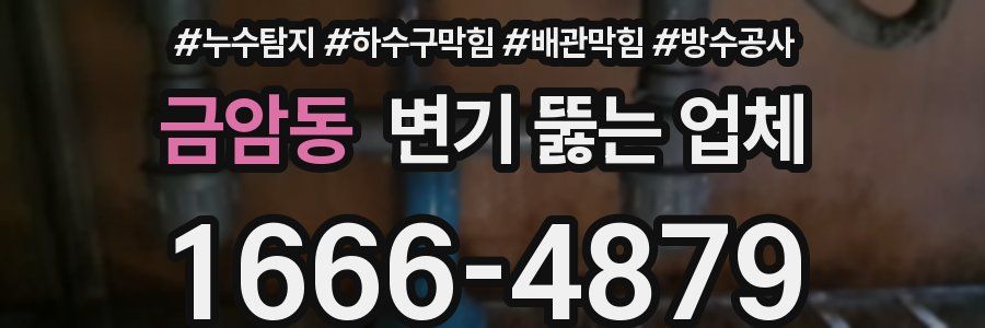 금암동 변기 뚫는 업체
