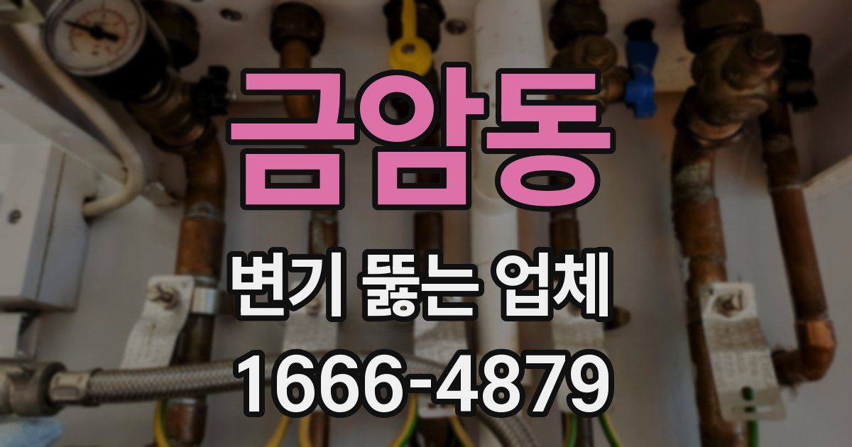 금암동 변기 뚫는 업체