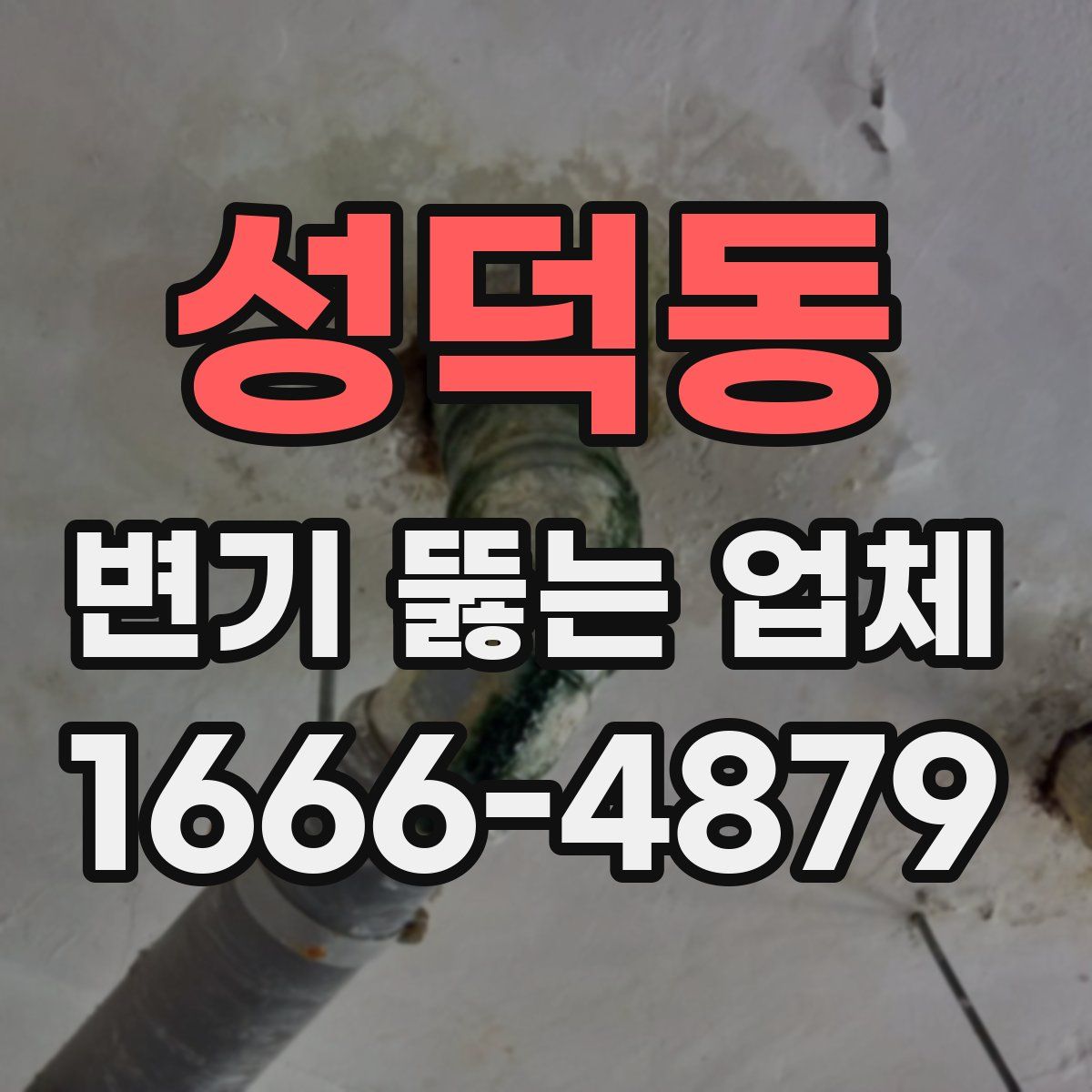 성덕동 변기 뚫는 업체