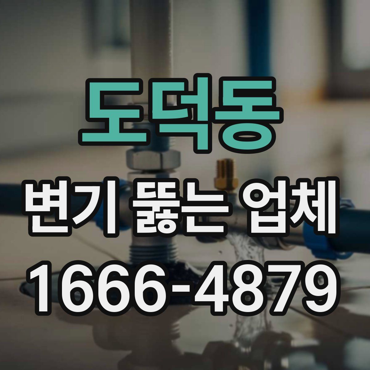 도덕동 변기 뚫는 업체