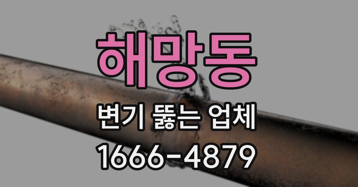 해망동 변기 뚫는 업체