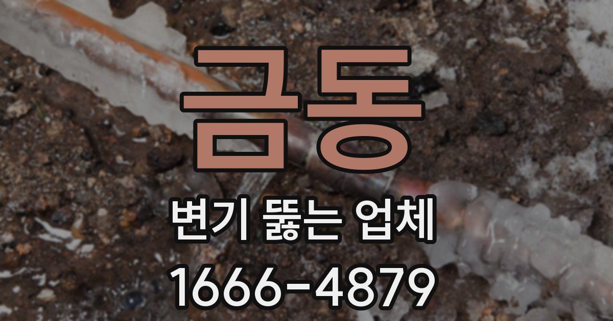 금동 변기 뚫는 업체