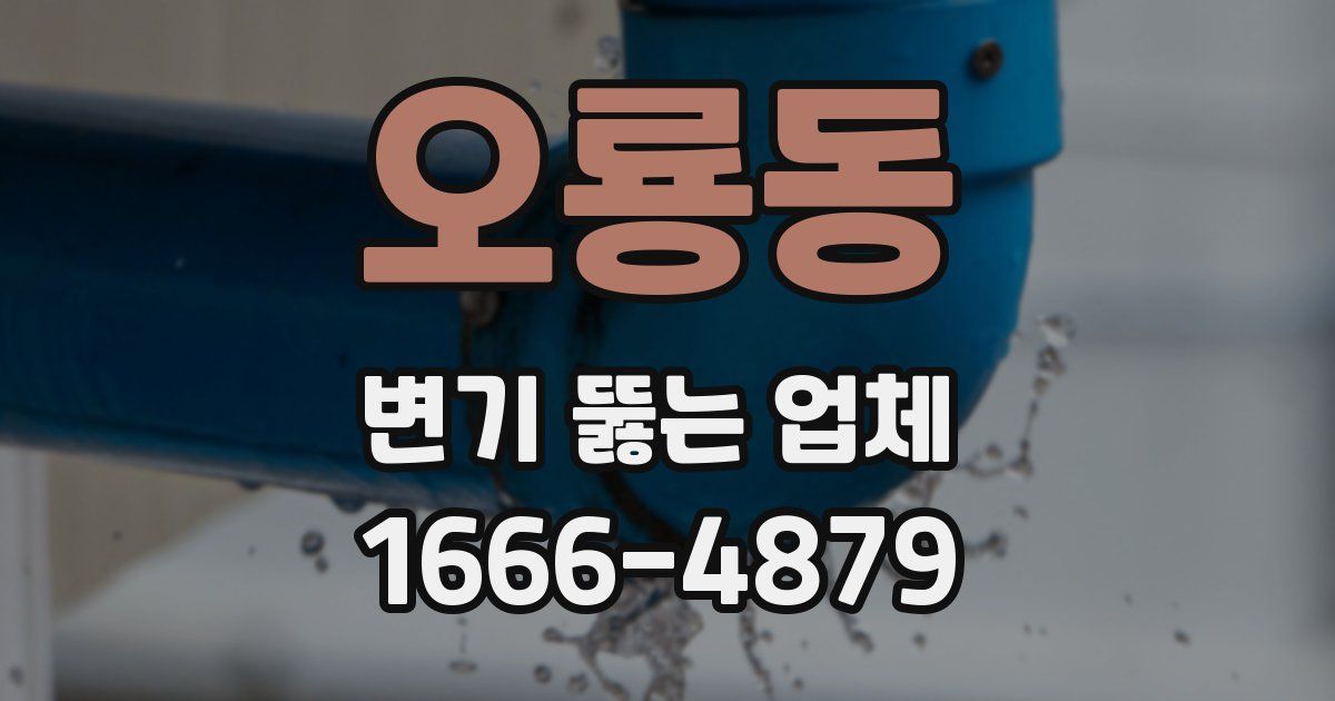 오룡동 변기 뚫는 업체
