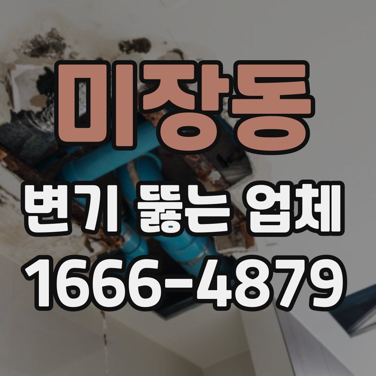 미장동 변기 뚫는 업체