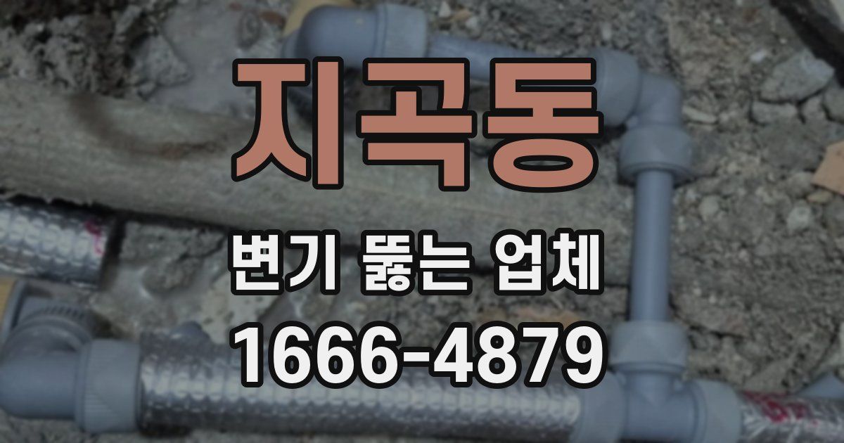 지곡동 변기 뚫는 업체