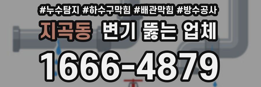 지곡동 변기 뚫는 업체