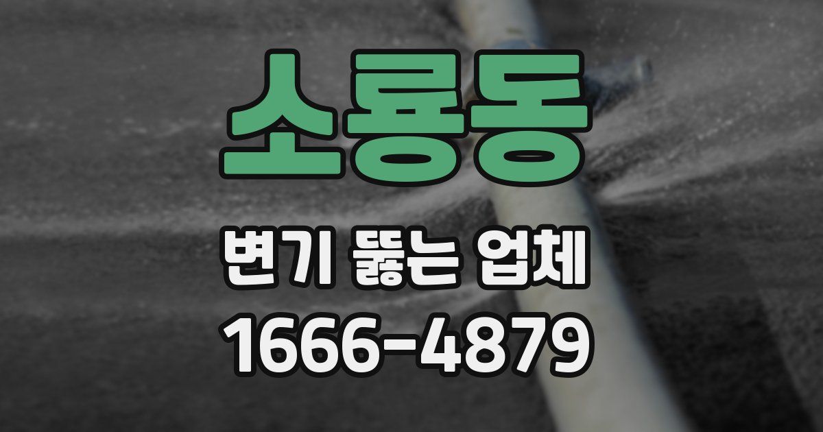 소룡동 변기 뚫는 업체