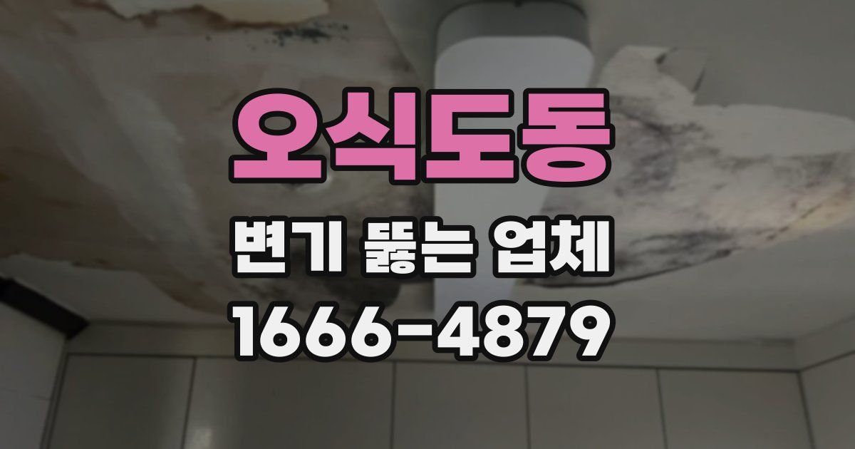 오식도동 변기 뚫는 업체