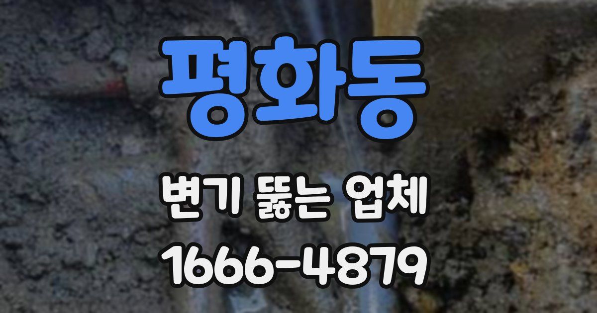 평화동 변기 뚫는 업체