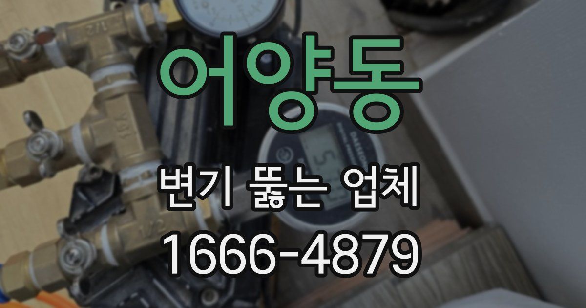 어양동 변기 뚫는 업체