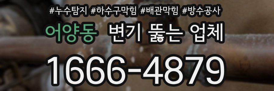 어양동 변기 뚫는 업체
