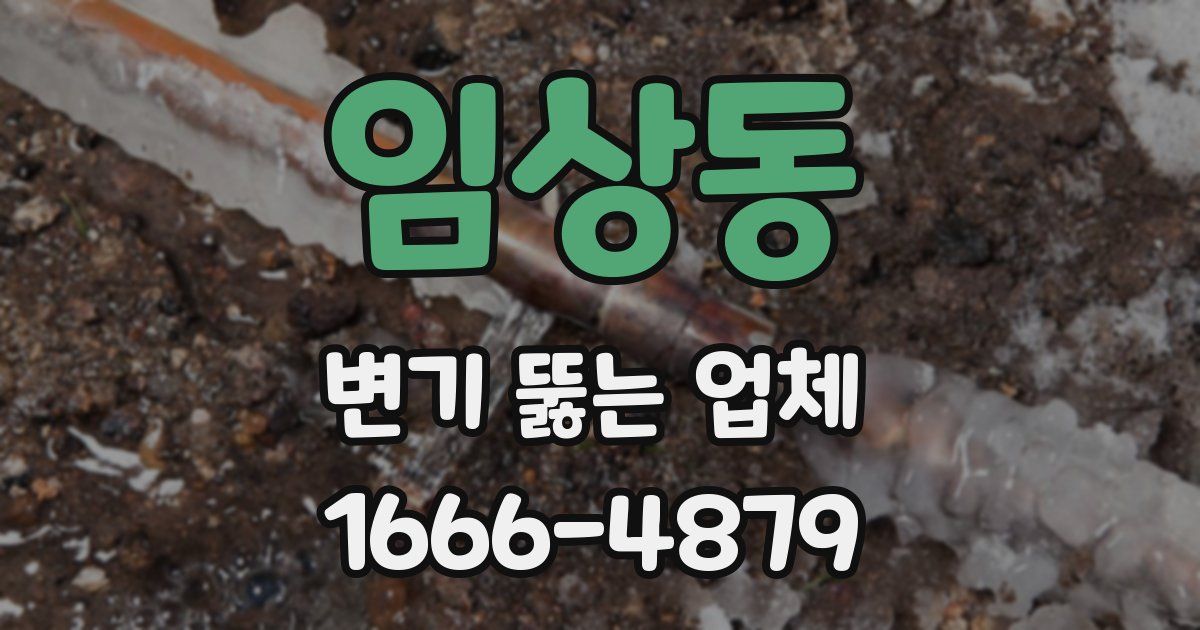 임상동 변기 뚫는 업체