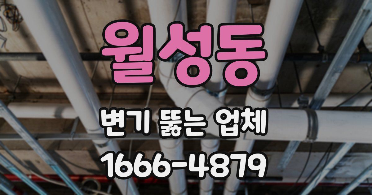 월성동 변기 뚫는 업체