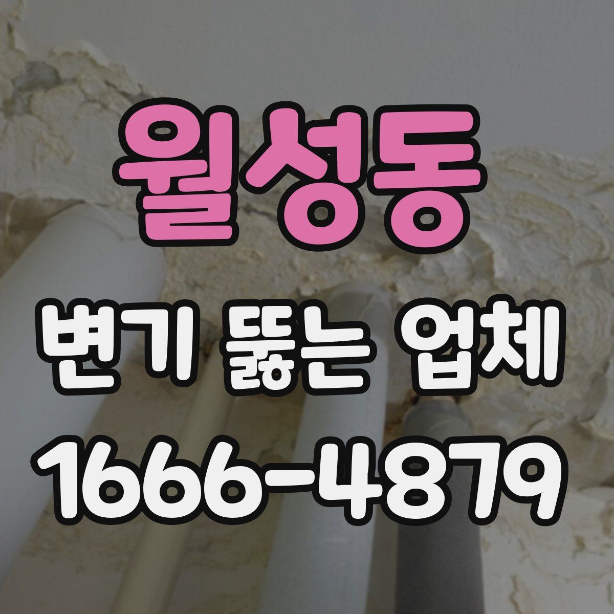 월성동 변기 뚫는 업체