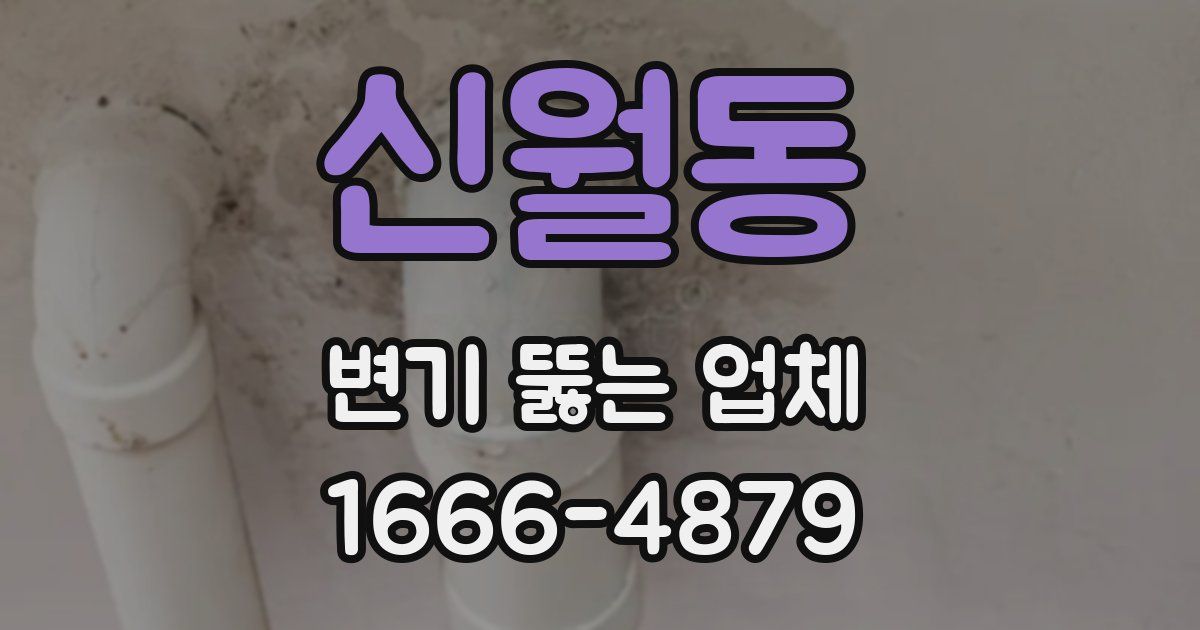 신월동 변기 뚫는 업체