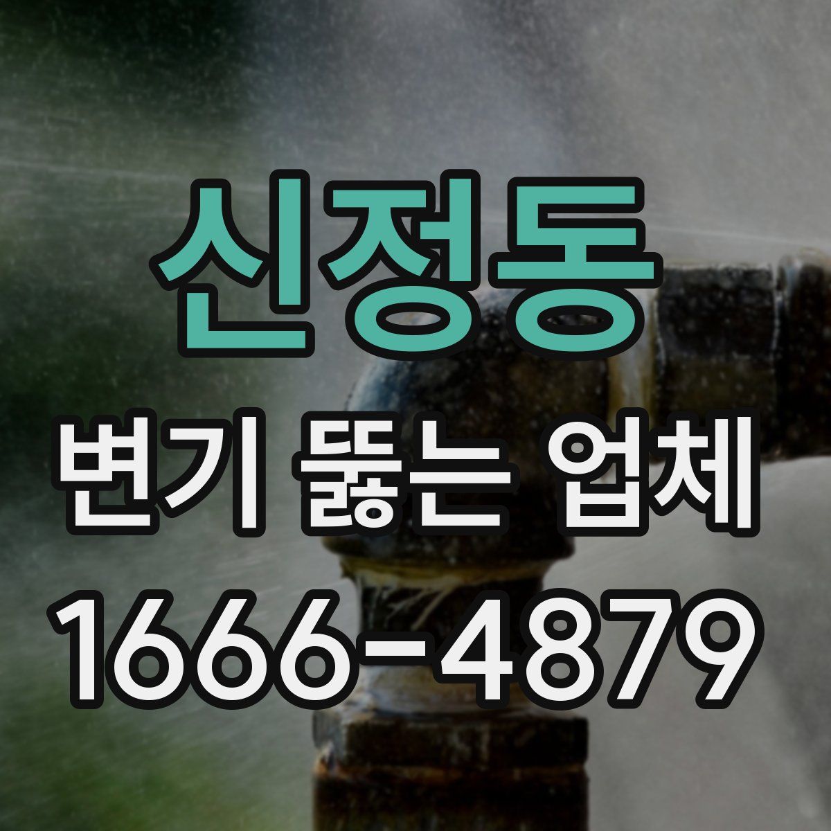 신정동 변기 뚫는 업체