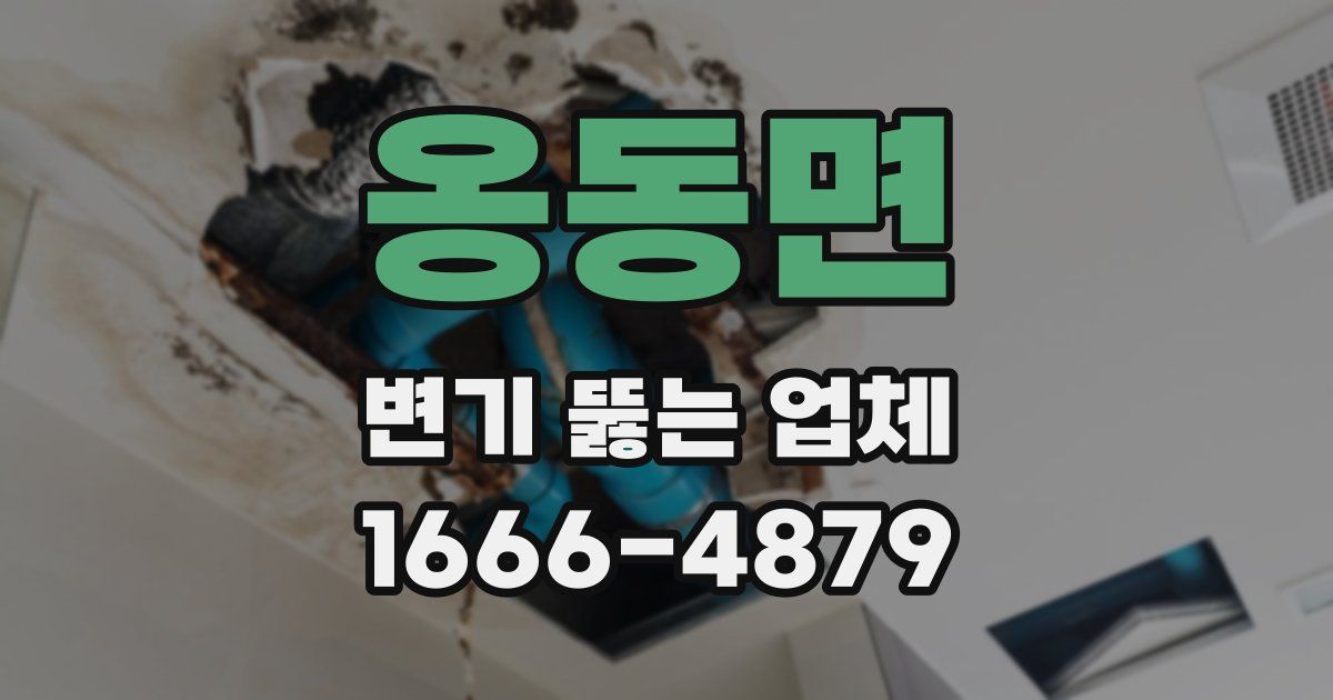 옹동면 변기 뚫는 업체