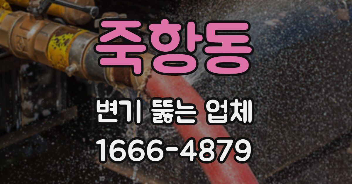 죽항동 변기 뚫는 업체