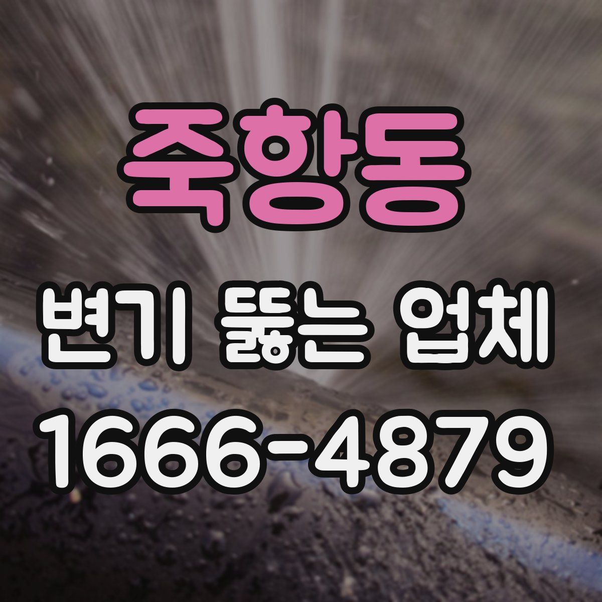죽항동 변기 뚫는 업체