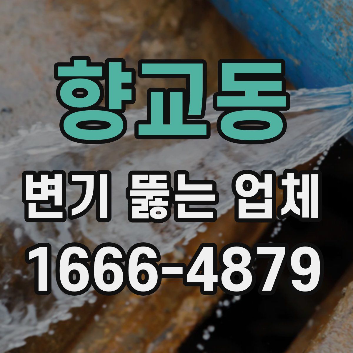 향교동 변기 뚫는 업체