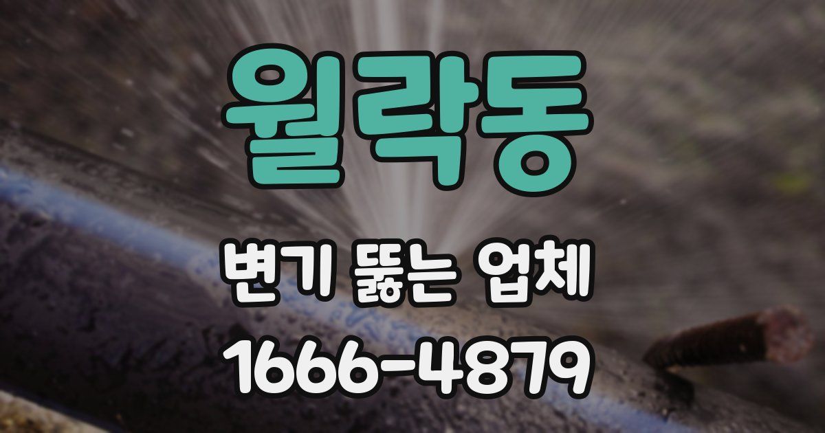 월락동 변기 뚫는 업체