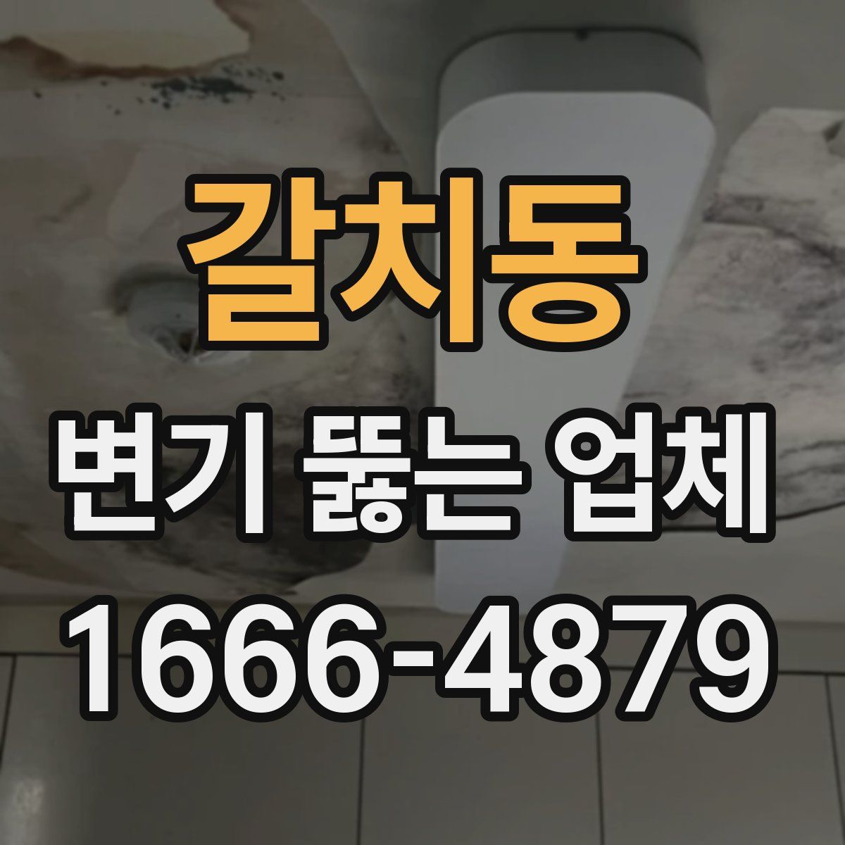 갈치동 변기 뚫는 업체