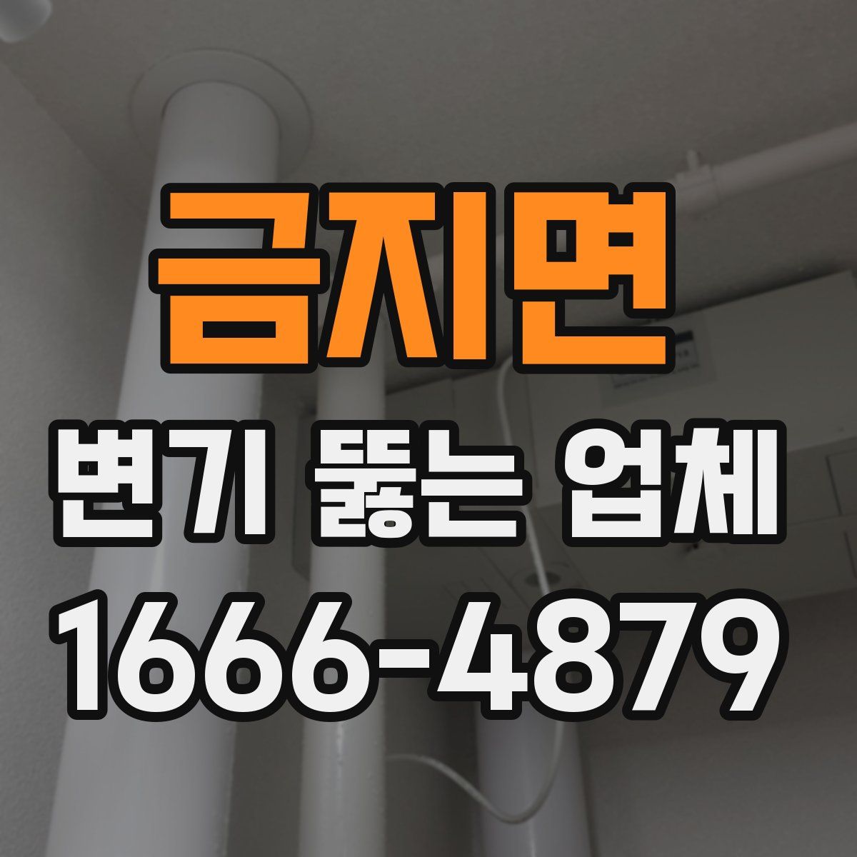 금지면 변기 뚫는 업체