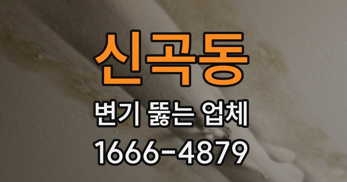 신곡동 변기 뚫는 업체