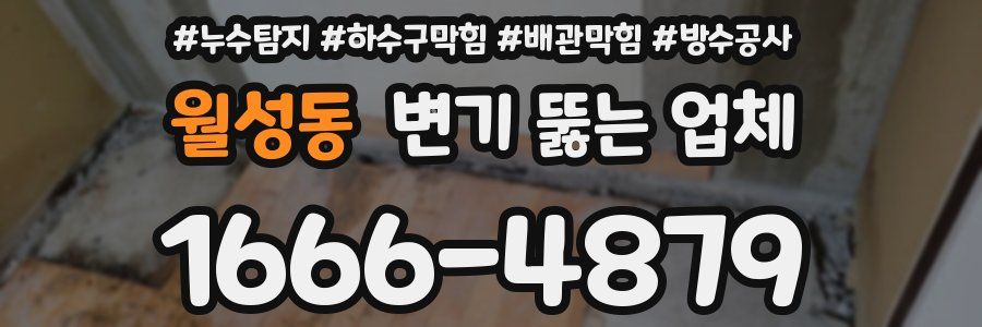 월성동 변기 뚫는 업체
