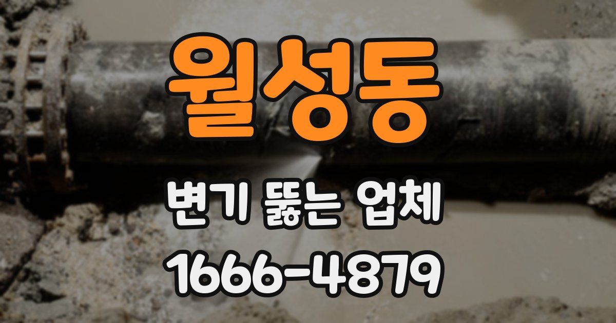 월성동 변기 뚫는 업체