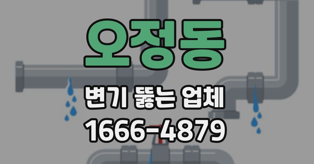 오정동 변기 뚫는 업체