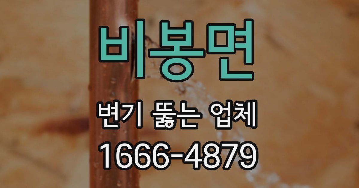 비봉면 변기 뚫는 업체