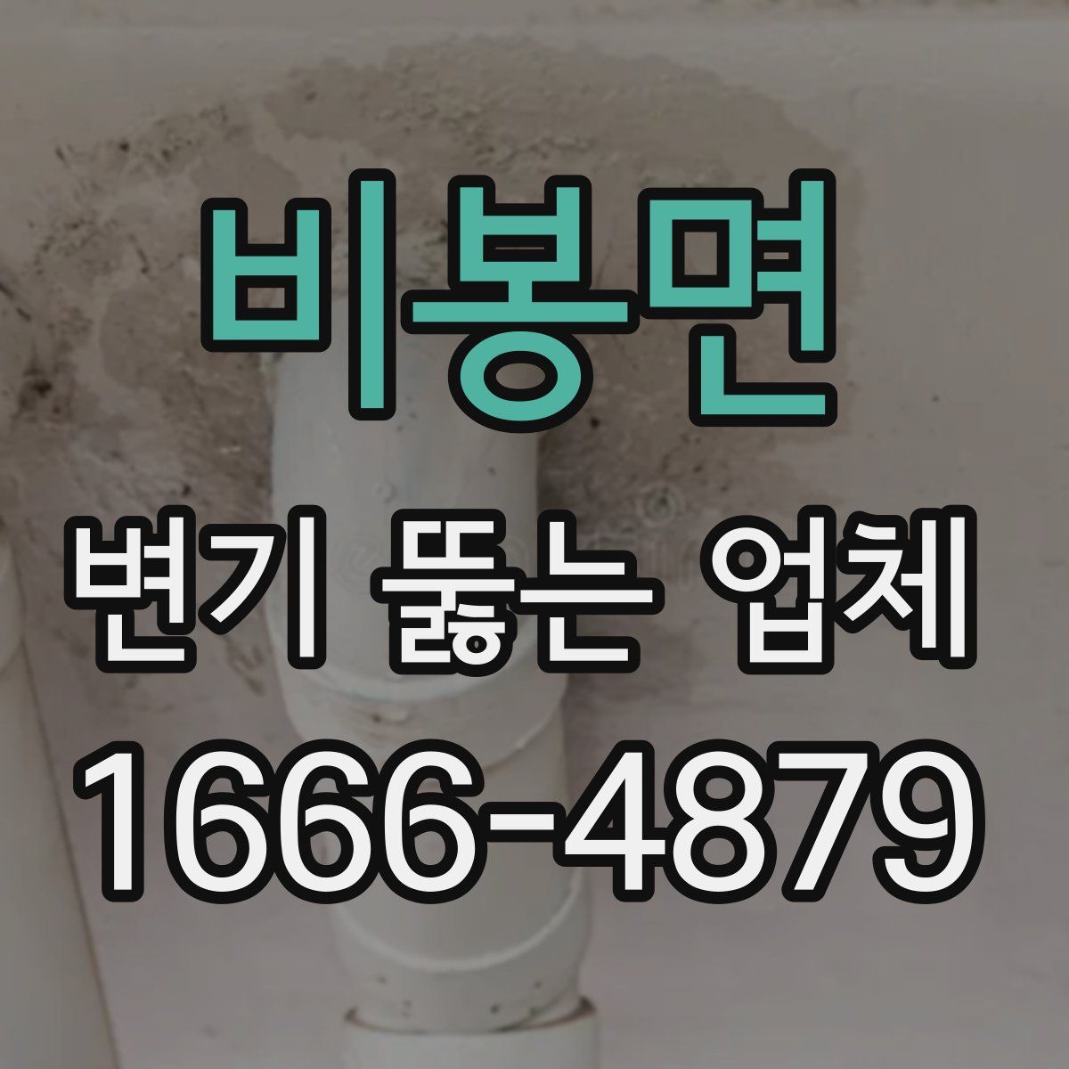 비봉면 변기 뚫는 업체