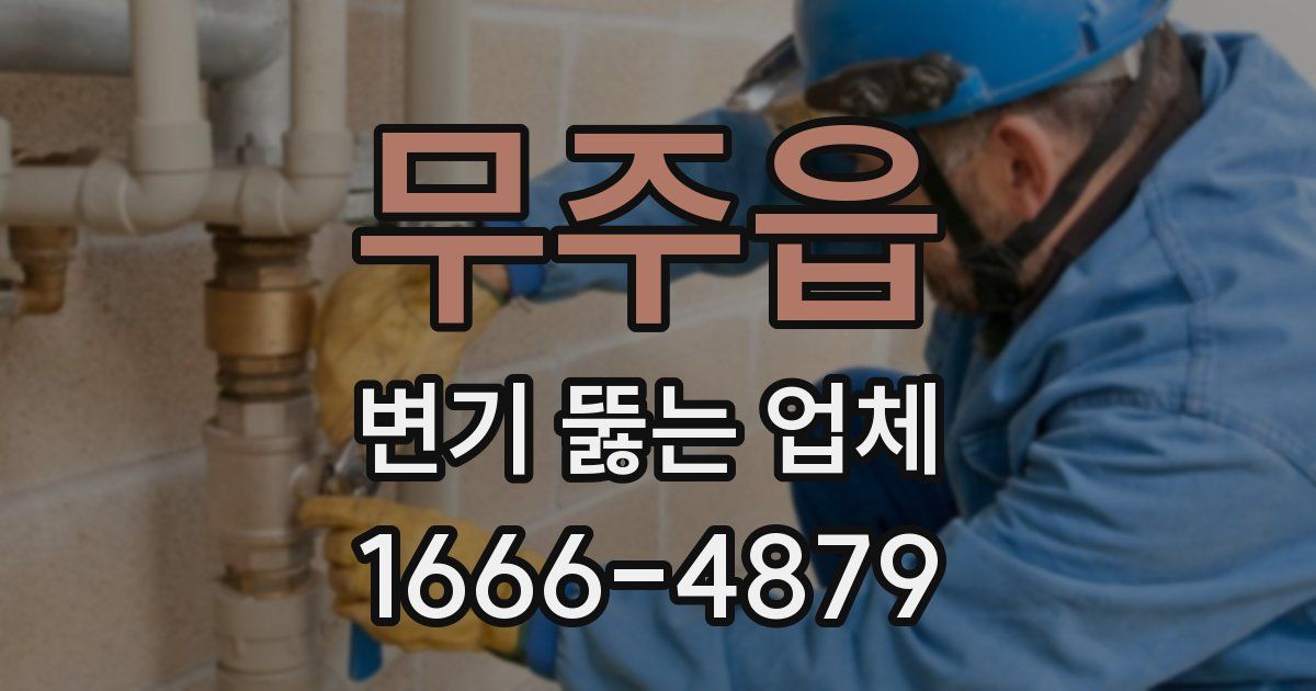 무주읍 변기 뚫는 업체
