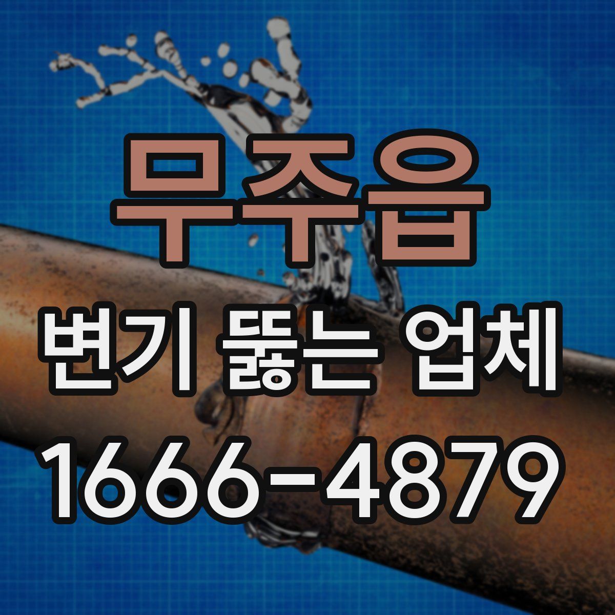 무주읍 변기 뚫는 업체