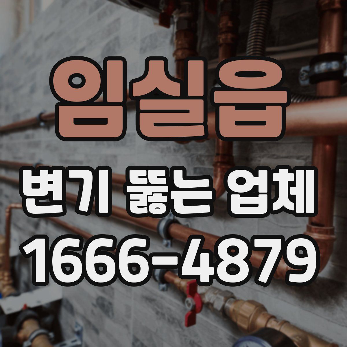 임실읍 변기 뚫는 업체