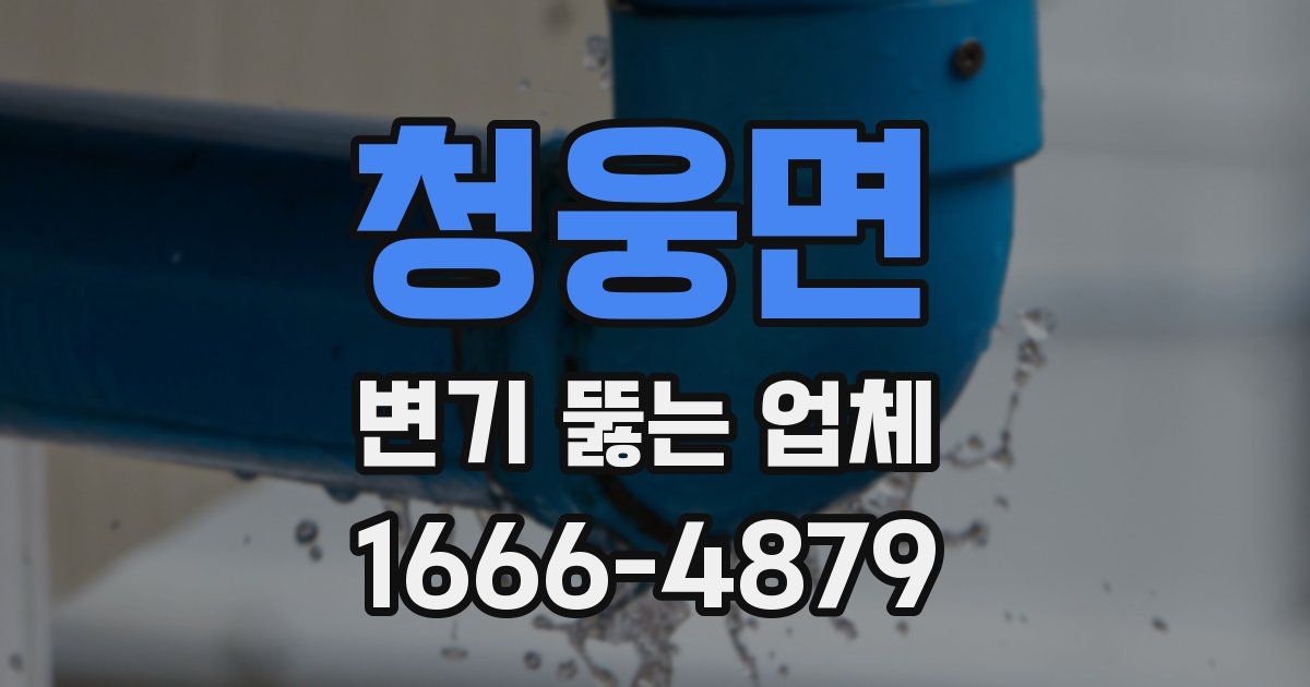청웅면 변기 뚫는 업체