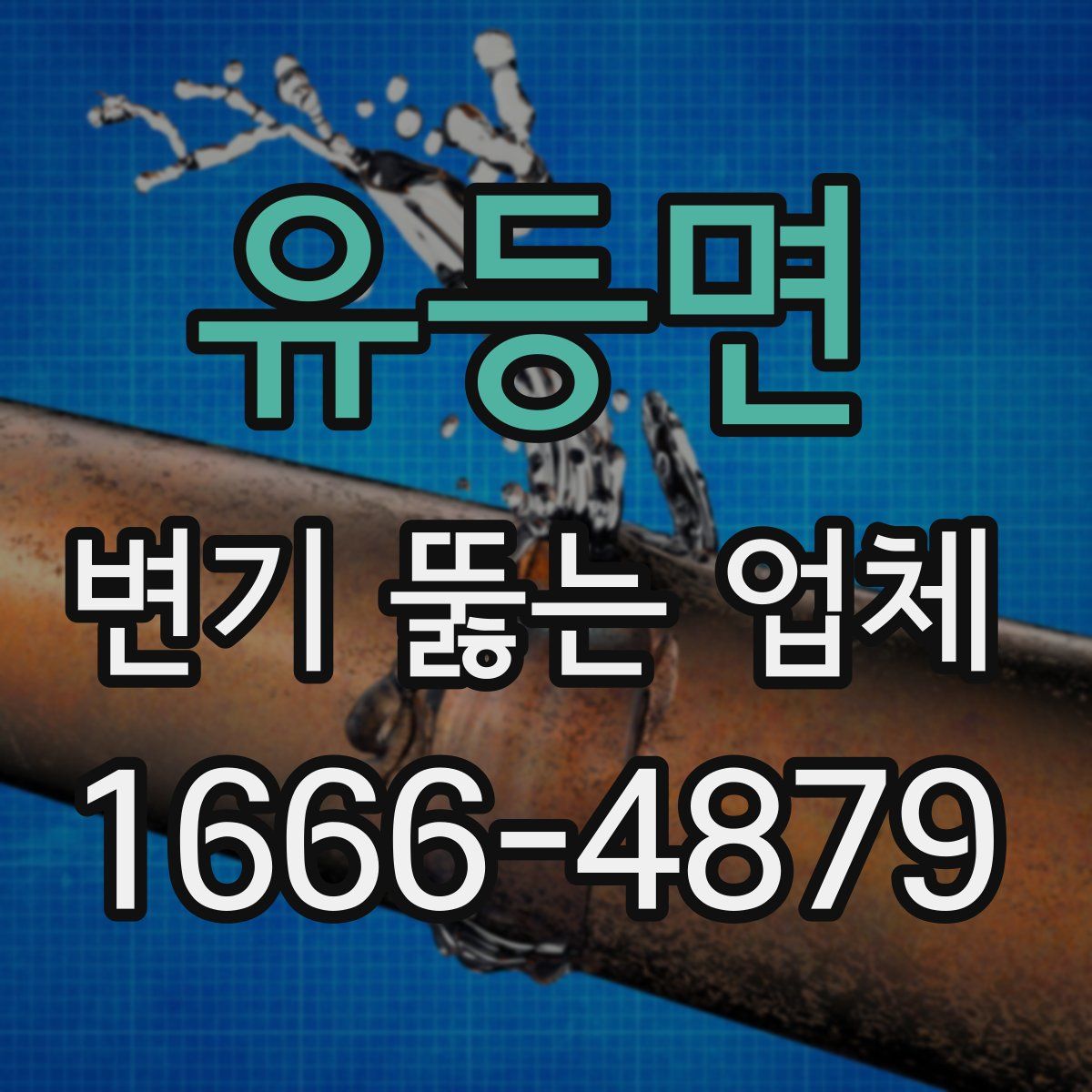 유등면 변기 뚫는 업체