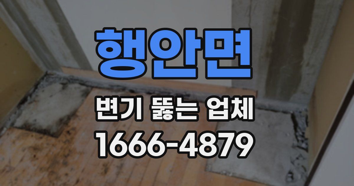 행안면 변기 뚫는 업체