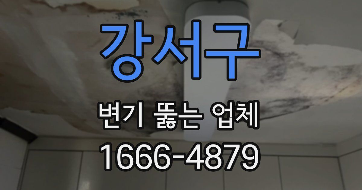 강서구 변기 뚫는 업체