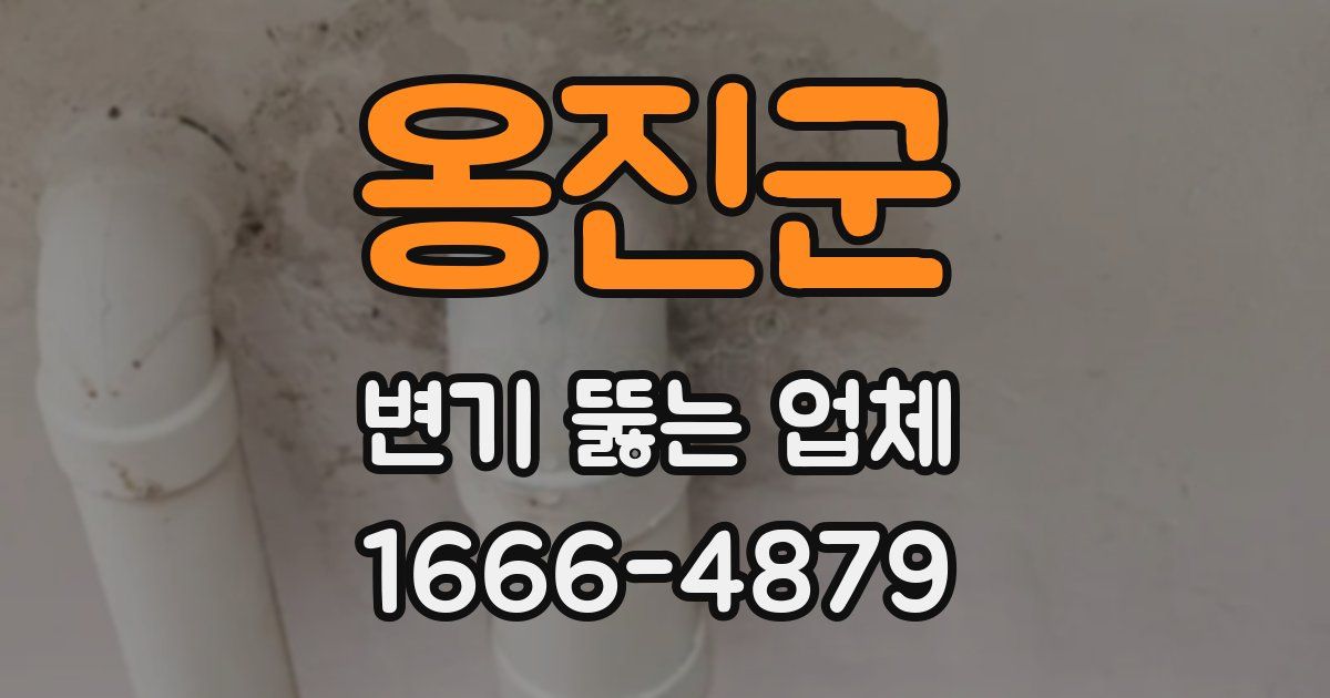 옹진군 변기 뚫는 업체