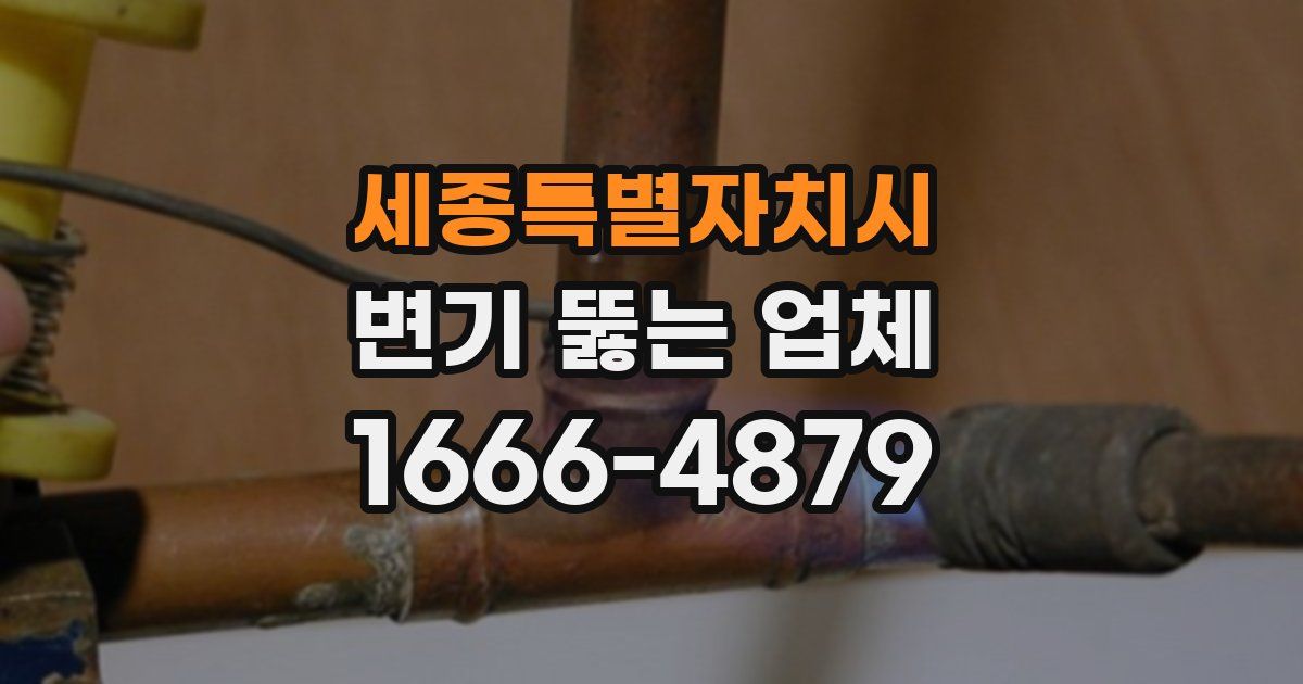 세종특별자치시 변기 뚫는 업체