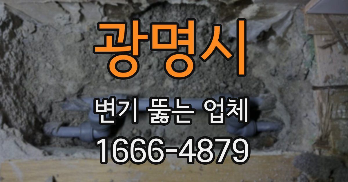 광명시 변기 뚫는 업체