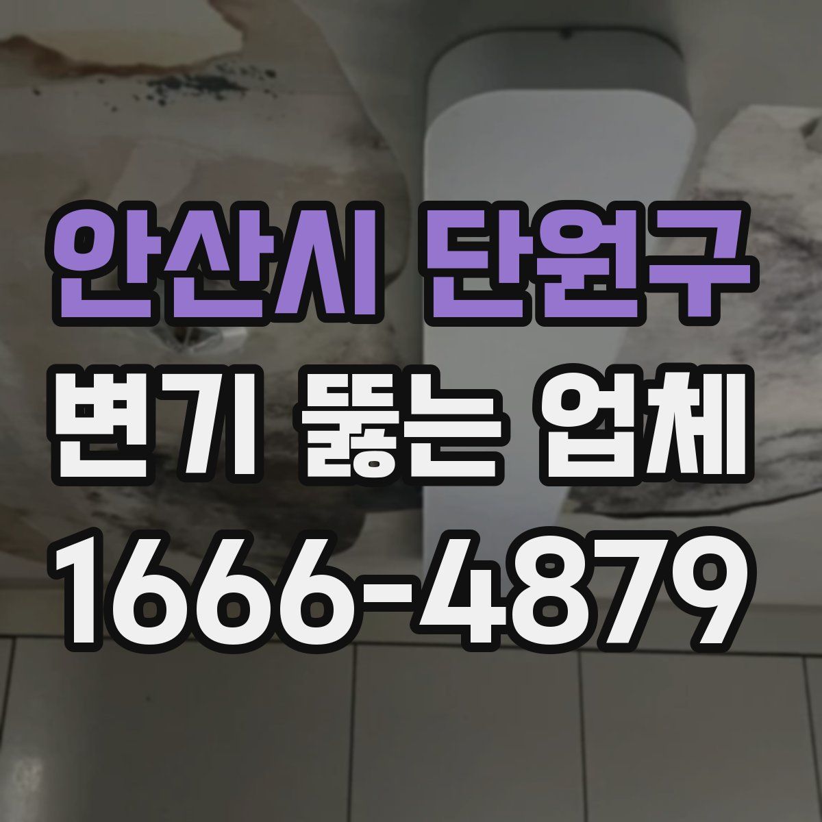 안산시 단원구 변기 뚫는 업체