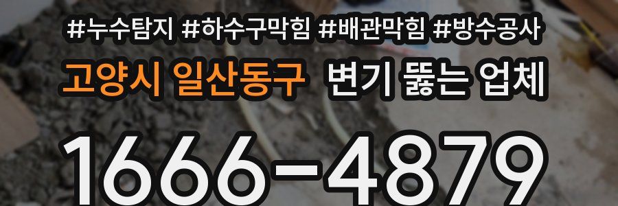 고양시 일산동구 변기 뚫는 업체