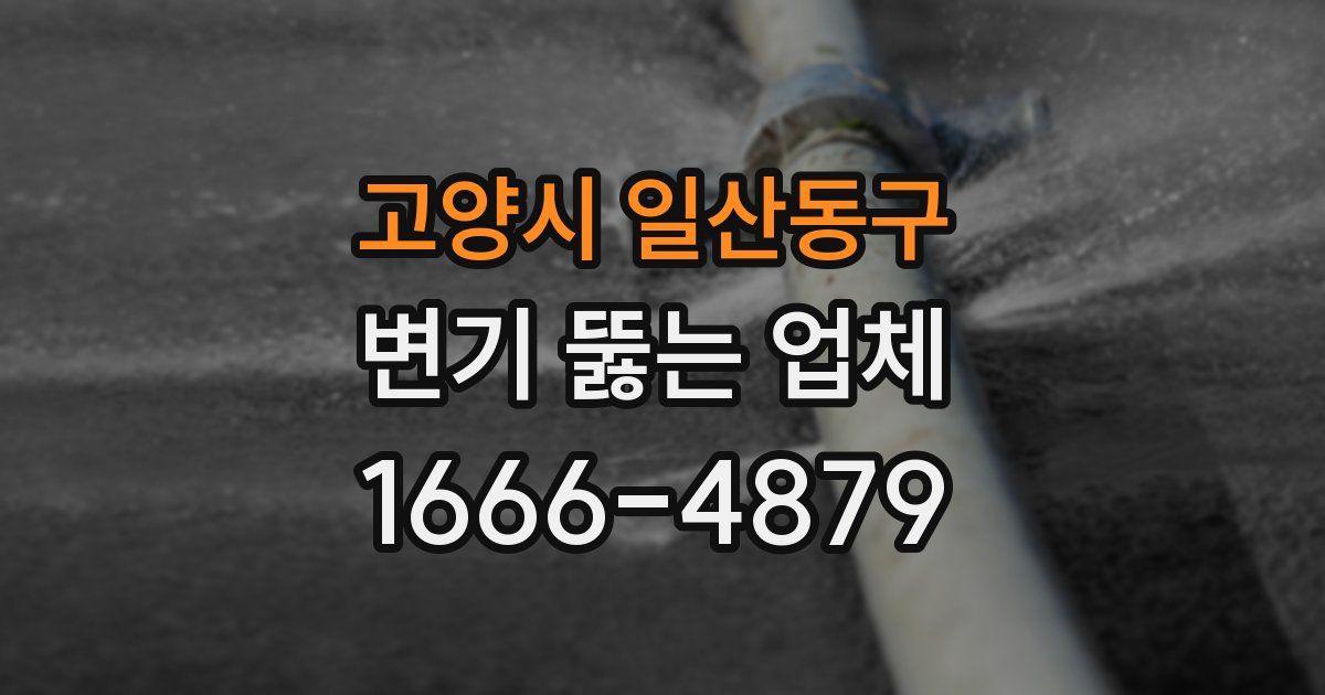 고양시 일산동구 변기 뚫는 업체