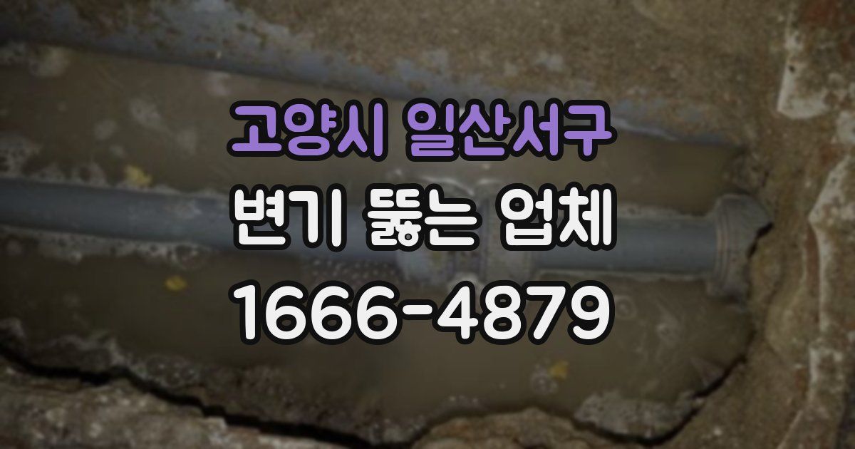 고양시 일산서구 변기 뚫는 업체