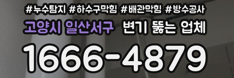 고양시 일산서구 변기 뚫는 업체