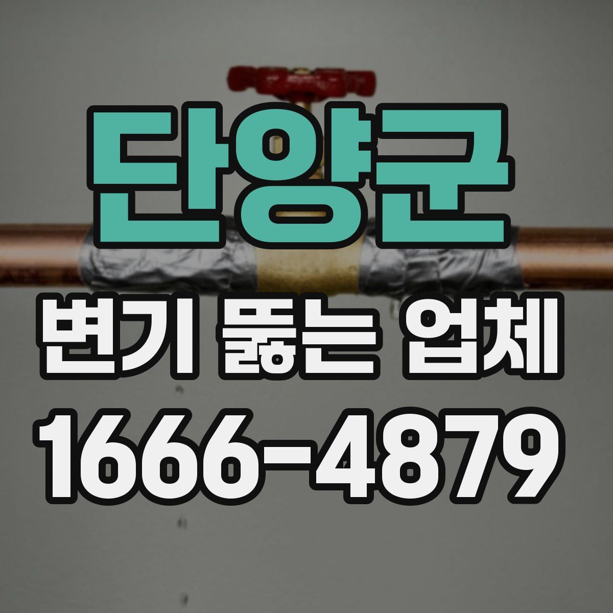 단양군 변기 뚫는 업체